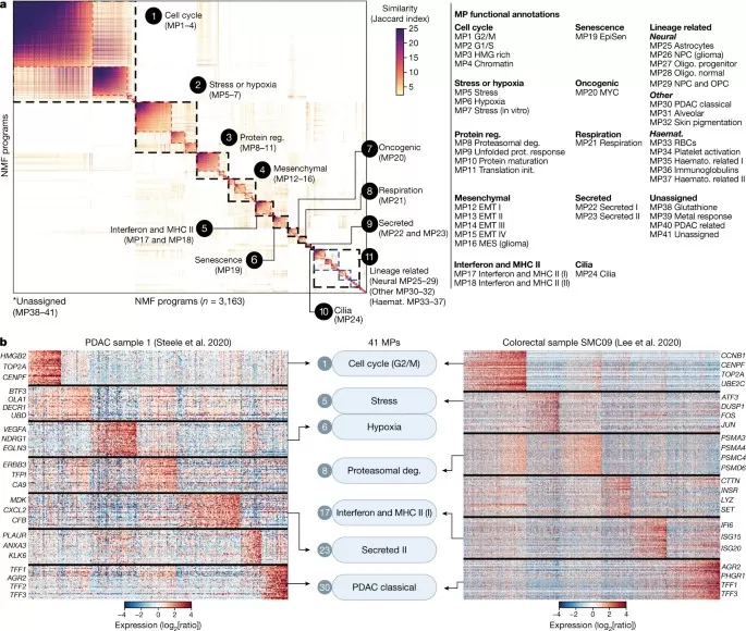 NMF-derived malignant meta-programs across cancers: similarity matrix with 11 families and example PDAC/colorectal heatmaps.